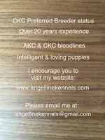 processed/b0b6f5a6-8c8f-4d91-b8c8-824f9a949a5b/listing/5f063713-f3a2-4f44-bf61-383f6cad7e87/e7b61f3f-a433-49af-876f-d2e7b1967514