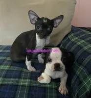 processed/b0b6f5a6-8c8f-4d91-b8c8-824f9a949a5b/listing/985b6206-e79e-4984-9235-9cb0ac5ca0fc/ae806891-67f7-4e2f-afd4-ba89e7f64cfe