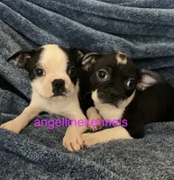 processed/b0b6f5a6-8c8f-4d91-b8c8-824f9a949a5b/listing/985b6206-e79e-4984-9235-9cb0ac5ca0fc/c8651f19-d514-4bbd-895e-f437106ae089