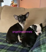 processed/b0b6f5a6-8c8f-4d91-b8c8-824f9a949a5b/listing/985b6206-e79e-4984-9235-9cb0ac5ca0fc/d0438f4a-62ab-4d90-9727-0998ccdba886