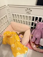 Jazzi, a female Poodle - Toy  for sale in Brooklet, GA – 4 of 4
