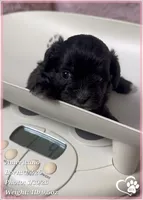 processed/b0d43c2c-d504-4048-8ecb-c22f08de82d3/listing/02e3c912-6343-4464-8d05-da18bdd95334/7397ace8-93af-4a28-b194-785b999bd10c