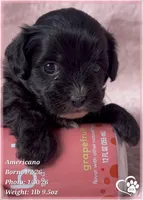 processed/b0d43c2c-d504-4048-8ecb-c22f08de82d3/listing/02e3c912-6343-4464-8d05-da18bdd95334/e6c2e593-7da0-4822-a971-5429c219a874