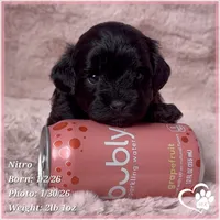 processed/b0d43c2c-d504-4048-8ecb-c22f08de82d3/listing/086695df-d917-42ee-9e3f-6871b8d5f3aa/f9f37cf7-8eb5-40b6-8bc5-8494bdca907a