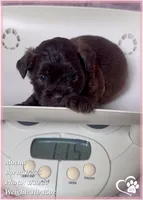 processed/b0d43c2c-d504-4048-8ecb-c22f08de82d3/listing/239680e6-d7b0-457a-ab75-e1931d36f395/06293853-3acf-4455-ac71-3f173a06b1f0