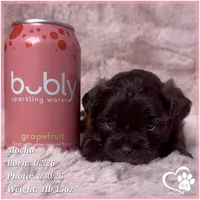 processed/b0d43c2c-d504-4048-8ecb-c22f08de82d3/listing/239680e6-d7b0-457a-ab75-e1931d36f395/629c277e-9584-45bf-8da0-692e9bed852f