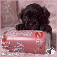 processed/b0d43c2c-d504-4048-8ecb-c22f08de82d3/listing/239680e6-d7b0-457a-ab75-e1931d36f395/89459e89-c98e-423b-875a-bbbb31a51a88