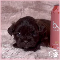 processed/b0d43c2c-d504-4048-8ecb-c22f08de82d3/listing/239680e6-d7b0-457a-ab75-e1931d36f395/9a8292a2-db4b-46cd-a577-7a8fbc0f5751