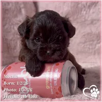 processed/b0d43c2c-d504-4048-8ecb-c22f08de82d3/listing/239680e6-d7b0-457a-ab75-e1931d36f395/b308c4e2-e83d-4c58-aa60-f01d845666c4