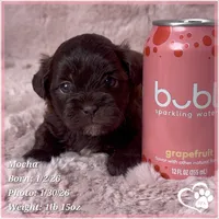 processed/b0d43c2c-d504-4048-8ecb-c22f08de82d3/listing/239680e6-d7b0-457a-ab75-e1931d36f395/c86fd10f-a7a8-4e17-be10-31f6bb83022f