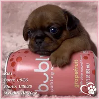 processed/b0d43c2c-d504-4048-8ecb-c22f08de82d3/listing/2e866e2c-bcc3-409e-b9a8-ee6591a90717/3b6f0cc9-71f1-4eb8-8cf1-ad8d07ad4871