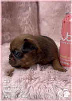 processed/b0d43c2c-d504-4048-8ecb-c22f08de82d3/listing/2e866e2c-bcc3-409e-b9a8-ee6591a90717/43835433-ca57-4a29-bd91-3954f66bd347