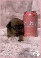 processed/b0d43c2c-d504-4048-8ecb-c22f08de82d3/listing/2e866e2c-bcc3-409e-b9a8-ee6591a90717/7a86f9c5-3550-43fc-90c3-60a9f73c1cc5