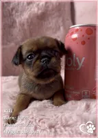 processed/b0d43c2c-d504-4048-8ecb-c22f08de82d3/listing/2e866e2c-bcc3-409e-b9a8-ee6591a90717/aef65681-c31d-44c8-8929-38b1b11c4f85