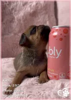 processed/b0d43c2c-d504-4048-8ecb-c22f08de82d3/listing/2e866e2c-bcc3-409e-b9a8-ee6591a90717/d8efdb20-2c64-4a1e-ae82-e0b0e2f44853