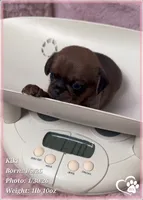 processed/b0d43c2c-d504-4048-8ecb-c22f08de82d3/listing/2e866e2c-bcc3-409e-b9a8-ee6591a90717/dfb2da58-7988-4a34-a86f-d452ca9fecc4