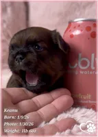 processed/b0d43c2c-d504-4048-8ecb-c22f08de82d3/listing/3dd13cb4-0316-416d-b1f2-967b0b0bbdd0/127bea69-9e0f-4c4a-b55d-47f64779d359