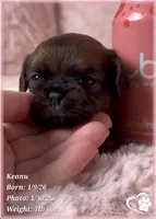 processed/b0d43c2c-d504-4048-8ecb-c22f08de82d3/listing/3dd13cb4-0316-416d-b1f2-967b0b0bbdd0/35220da5-c15a-427d-b008-003b2f1e5c24