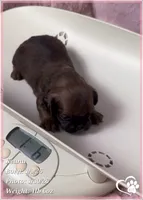 processed/b0d43c2c-d504-4048-8ecb-c22f08de82d3/listing/3dd13cb4-0316-416d-b1f2-967b0b0bbdd0/fb428408-1fe4-4c39-90e8-9f156f211725