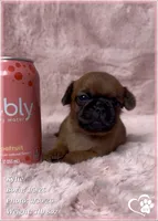 processed/b0d43c2c-d504-4048-8ecb-c22f08de82d3/listing/7e108ff2-38b8-4a45-a7e5-e25e9d2484a5/04edc50f-1a5b-40a6-9d73-399d21dc09d2