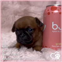 processed/b0d43c2c-d504-4048-8ecb-c22f08de82d3/listing/7e108ff2-38b8-4a45-a7e5-e25e9d2484a5/6c780e21-82aa-4c66-87d6-98c0b9a00081