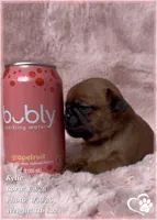 processed/b0d43c2c-d504-4048-8ecb-c22f08de82d3/listing/7e108ff2-38b8-4a45-a7e5-e25e9d2484a5/91dac5cd-bcab-4c60-ac1c-5a7363fe217c