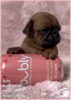 processed/b0d43c2c-d504-4048-8ecb-c22f08de82d3/listing/7e108ff2-38b8-4a45-a7e5-e25e9d2484a5/c781d505-b0fc-46c1-90b9-5ff147f0aa6f