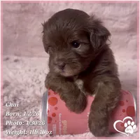 processed/b0d43c2c-d504-4048-8ecb-c22f08de82d3/listing/cf18a907-f30d-491f-b954-5c085f0e97f5/34359995-913c-4da5-800e-92d53543ec40