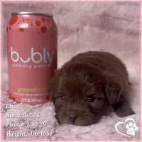 processed/b0d43c2c-d504-4048-8ecb-c22f08de82d3/listing/cf18a907-f30d-491f-b954-5c085f0e97f5/6425581e-449b-4159-afae-8d3a8f81c454