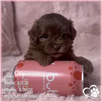 processed/b0d43c2c-d504-4048-8ecb-c22f08de82d3/listing/cf18a907-f30d-491f-b954-5c085f0e97f5/c10b289e-a49a-4248-a3d7-9275fc8ac97d