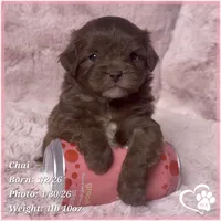 processed/b0d43c2c-d504-4048-8ecb-c22f08de82d3/listing/cf18a907-f30d-491f-b954-5c085f0e97f5/cd5dda13-5a09-45da-898f-909767593924