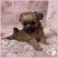 processed/b0d43c2c-d504-4048-8ecb-c22f08de82d3/listing/d08314d5-f46b-4c8c-b195-3ddd53b542c4/31c69865-2c6b-4ed7-8e65-51151381ecfb