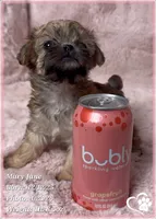 processed/b0d43c2c-d504-4048-8ecb-c22f08de82d3/listing/d08314d5-f46b-4c8c-b195-3ddd53b542c4/4c9aff0a-e87a-4502-b7b4-fd46165aff10