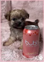 processed/b0d43c2c-d504-4048-8ecb-c22f08de82d3/listing/d08314d5-f46b-4c8c-b195-3ddd53b542c4/598de002-2251-49f3-a121-0e22ebec8ade