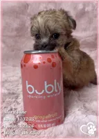 processed/b0d43c2c-d504-4048-8ecb-c22f08de82d3/listing/d08314d5-f46b-4c8c-b195-3ddd53b542c4/79cd5e71-2dfe-4fbe-8c01-63923d0d5927