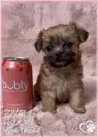 processed/b0d43c2c-d504-4048-8ecb-c22f08de82d3/listing/d08314d5-f46b-4c8c-b195-3ddd53b542c4/8e0debea-c2f9-4b87-9a5b-461916f41aec