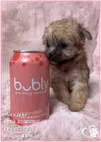 processed/b0d43c2c-d504-4048-8ecb-c22f08de82d3/listing/d08314d5-f46b-4c8c-b195-3ddd53b542c4/b15f8ff5-59db-46ba-9b21-b370fc655abf