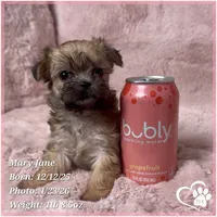 processed/b0d43c2c-d504-4048-8ecb-c22f08de82d3/listing/d08314d5-f46b-4c8c-b195-3ddd53b542c4/bbe31dbf-15e5-40cc-9404-38578a077128