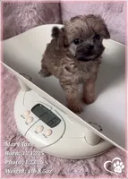 processed/b0d43c2c-d504-4048-8ecb-c22f08de82d3/listing/d08314d5-f46b-4c8c-b195-3ddd53b542c4/c67a9278-2e50-48f5-8a03-21bbf6e4ef1a