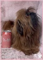 processed/b0d43c2c-d504-4048-8ecb-c22f08de82d3/listing/db5d7a03-d3b6-442c-8d9b-2d38234554f1/1ea71e9f-de9c-4261-b9ce-1bddd7dc62f6