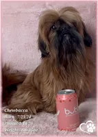 processed/b0d43c2c-d504-4048-8ecb-c22f08de82d3/listing/db5d7a03-d3b6-442c-8d9b-2d38234554f1/2344c751-4eb0-4e26-a957-6d8e345e3edb