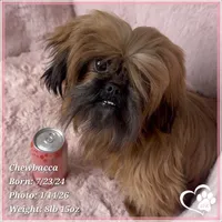 processed/b0d43c2c-d504-4048-8ecb-c22f08de82d3/listing/db5d7a03-d3b6-442c-8d9b-2d38234554f1/9915cb7f-0146-4c32-bdf9-74f881d225ab