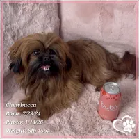 processed/b0d43c2c-d504-4048-8ecb-c22f08de82d3/listing/db5d7a03-d3b6-442c-8d9b-2d38234554f1/a45ccbd5-85d3-437d-aad3-65ccccd129fa