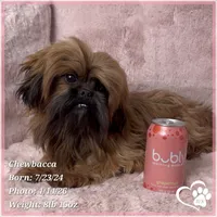 processed/b0d43c2c-d504-4048-8ecb-c22f08de82d3/listing/db5d7a03-d3b6-442c-8d9b-2d38234554f1/d1086867-d0d4-4b5e-8cb3-61969c1897e1