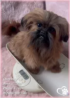 processed/b0d43c2c-d504-4048-8ecb-c22f08de82d3/listing/db5d7a03-d3b6-442c-8d9b-2d38234554f1/f5237b4e-c08b-4d07-a147-8220020e47d0