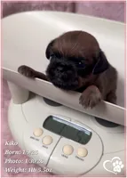 processed/b0d43c2c-d504-4048-8ecb-c22f08de82d3/listing/e0f35741-33a0-4b62-a2e4-4b922dab8c93/0e5a6569-f4da-4646-b369-a62d1aba8e82