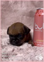 processed/b0d43c2c-d504-4048-8ecb-c22f08de82d3/listing/e0f35741-33a0-4b62-a2e4-4b922dab8c93/183aa05a-4886-4000-aa18-f986ee8dc0cc