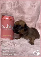 processed/b0d43c2c-d504-4048-8ecb-c22f08de82d3/listing/e0f35741-33a0-4b62-a2e4-4b922dab8c93/2facc310-9b41-404b-bccd-82a748ea4b1d