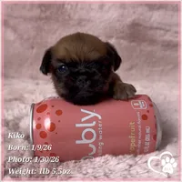 processed/b0d43c2c-d504-4048-8ecb-c22f08de82d3/listing/e0f35741-33a0-4b62-a2e4-4b922dab8c93/3880e274-d927-4e4d-a73f-630670baac83