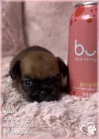 processed/b0d43c2c-d504-4048-8ecb-c22f08de82d3/listing/e0f35741-33a0-4b62-a2e4-4b922dab8c93/51b09b07-073c-4fd0-a9bc-af4113561b12